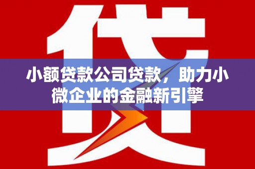 山上小额贷款公司贷款，助力小微企业的金融新引擎