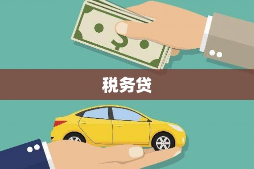 山上税务贷