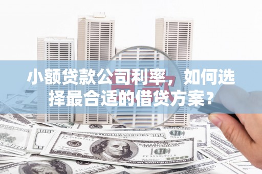 山上小额贷款公司利率，如何选择最合适的借贷方案？