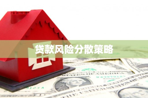 山上贷款风险分散策略