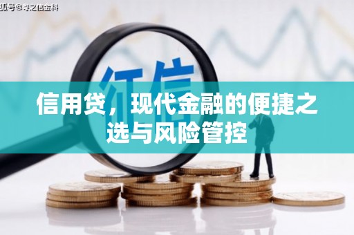 山上信用贷，现代金融的便捷之选与风险管控