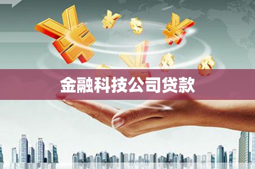 山上金融科技公司贷款