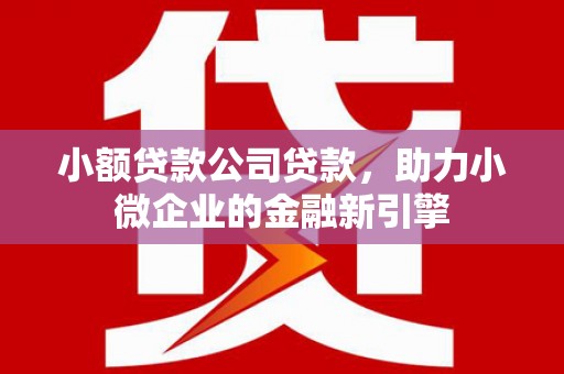 山上小额贷款公司贷款，助力小微企业的金融新引擎