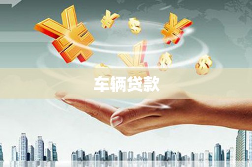 山上车辆贷款