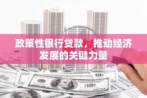 山上政策性银行贷款，推动经济发展的关键力量
