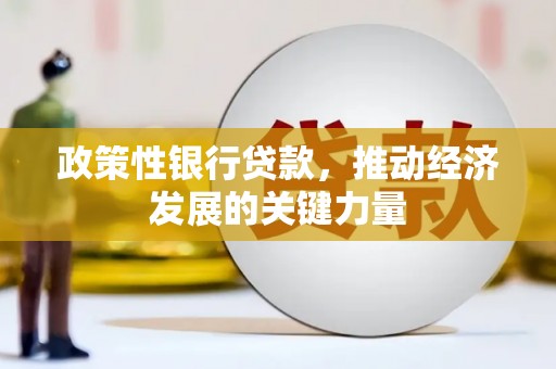 山上政策性银行贷款，推动经济发展的关键力量
