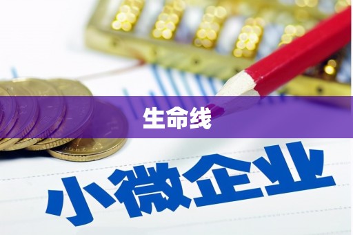 山上生命线