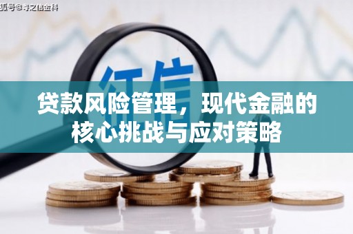 山上贷款风险管理，现代金融的核心挑战与应对策略