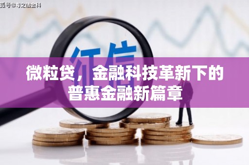 山上微粒贷，金融科技革新下的普惠金融新篇章