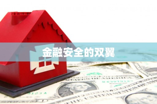山上金融安全的双翼