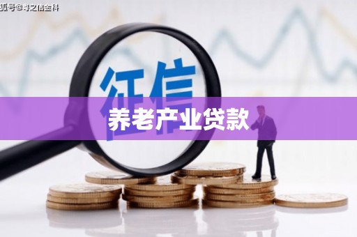 山上养老产业贷款