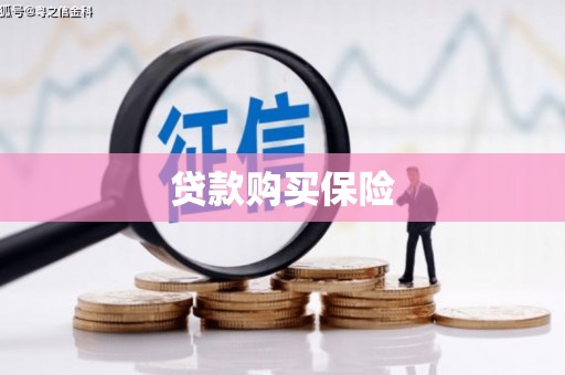 山上贷款购买保险