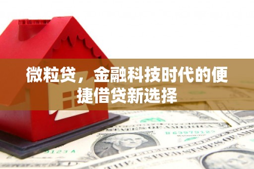 山上微粒贷，金融科技时代的便捷借贷新选择