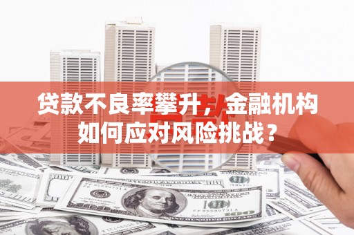 山上贷款不良率攀升，金融机构如何应对风险挑战？