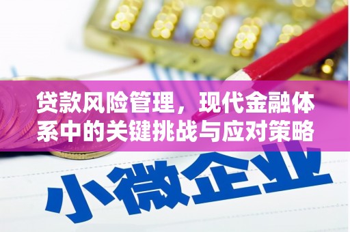 山上贷款风险管理，现代金融体系中的关键挑战与应对策略