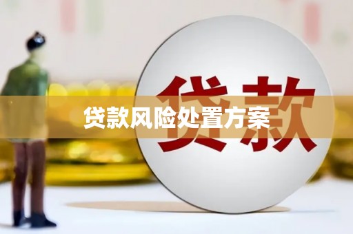 山上贷款风险处置方案