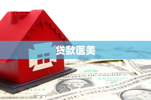 山上贷款医美