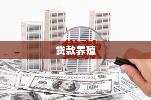 山上贷款养殖