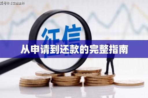 山上从申请到还款的完整指南