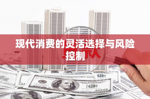 山上现代消费的灵活选择与风险控制