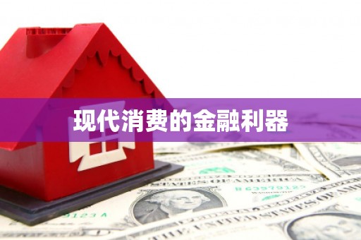 山上现代消费的金融利器