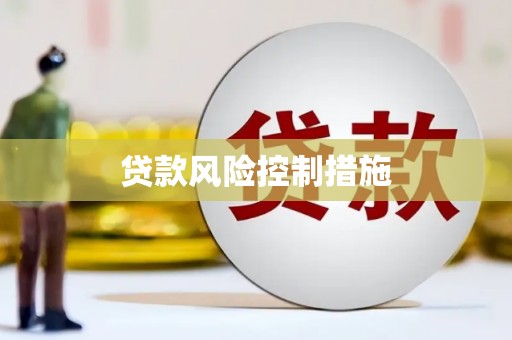 山上贷款风险控制措施