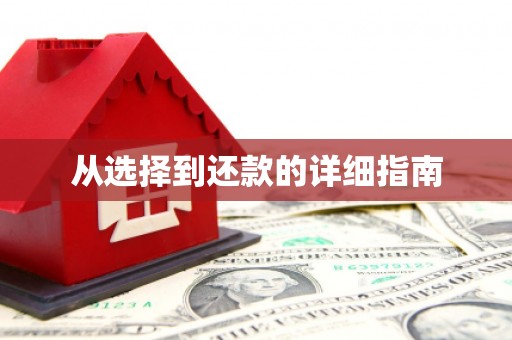 山上从选择到还款的详细指南