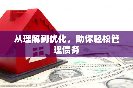 山上从理解到优化，助你轻松管理债务