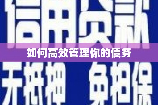 山上如何高效管理你的债务