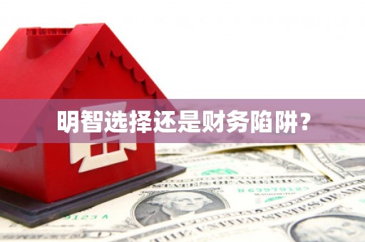 山上明智选择还是财务陷阱？