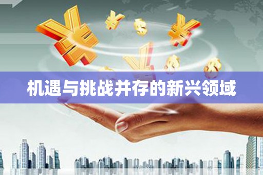山上机遇与挑战并存的新兴领域