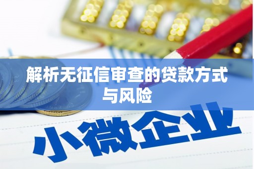 山上解析无征信审查的贷款方式与风险