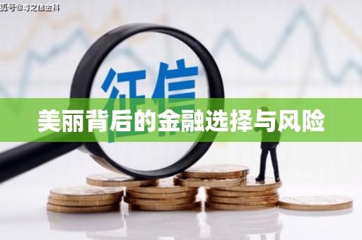 山上美丽背后的金融选择与风险