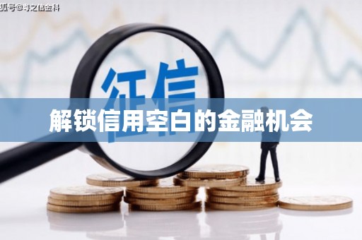 山上解锁信用空白的金融机会