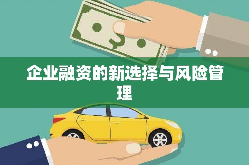 山上企业融资的新选择与风险管理