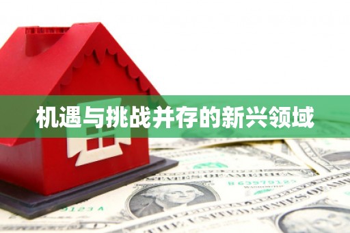 山上机遇与挑战并存的新兴领域