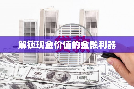 山上解锁现金价值的金融利器