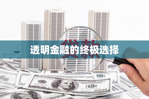 山上透明金融的终极选择