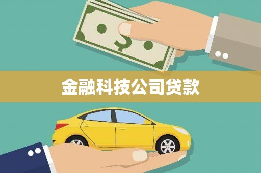 山上金融科技公司贷款