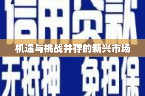 山上机遇与挑战并存的新兴市场