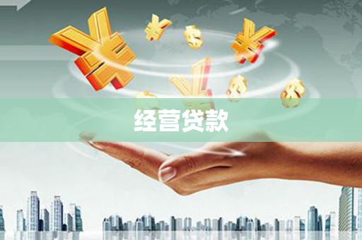 山上经营贷款