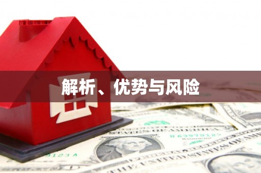 山上解析、优势与风险