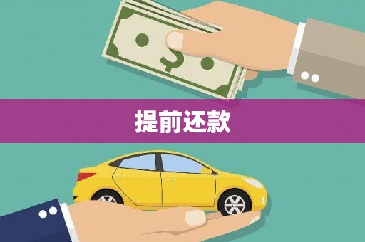 山上提前还款
