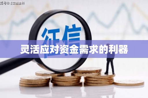 山上灵活应对资金需求的利器