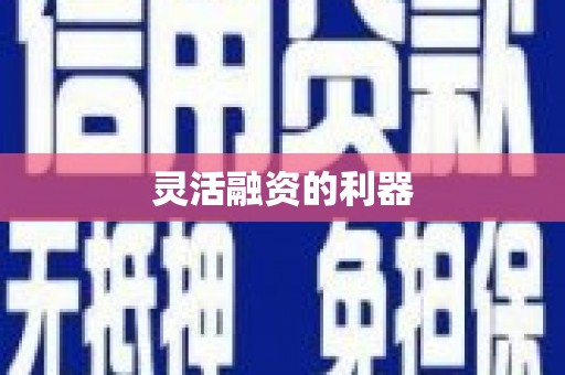 山上灵活融资的利器