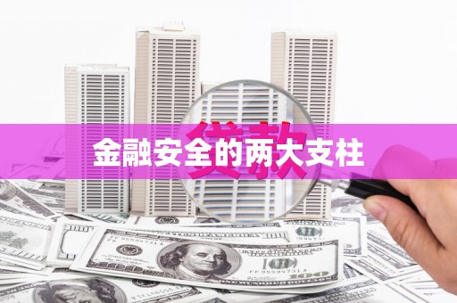 山上金融安全的两大支柱
