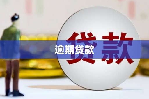 山上逾期贷款