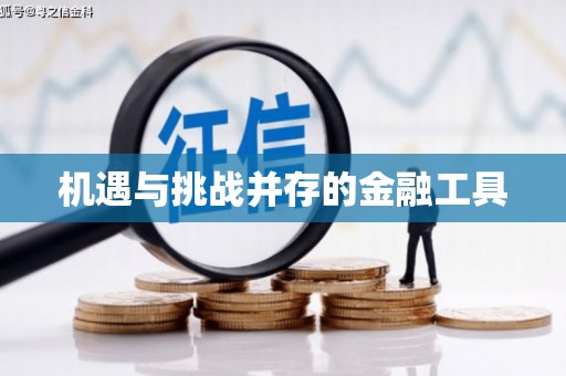 山上机遇与挑战并存的金融工具