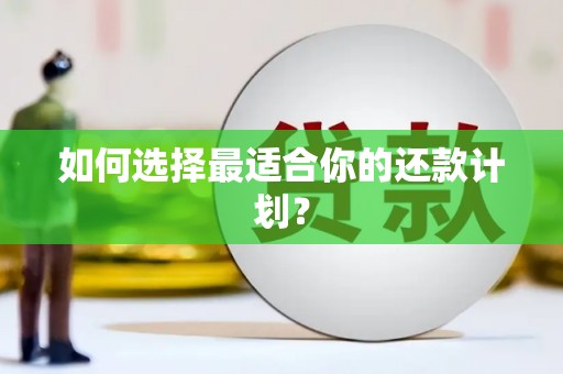 山上如何选择最适合你的还款计划？