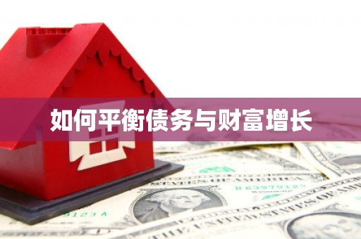 山上如何平衡债务与财富增长